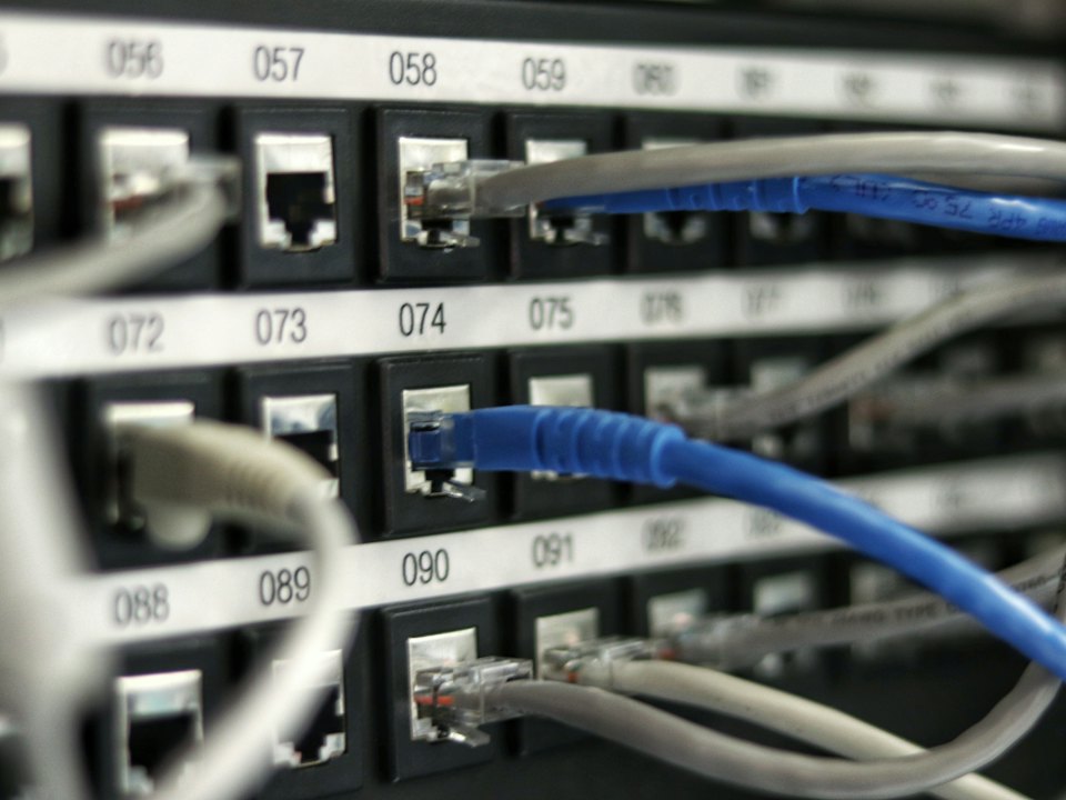Blue network cables patched into a switch